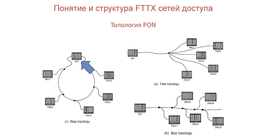 топология кольцо