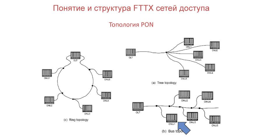 топология шина